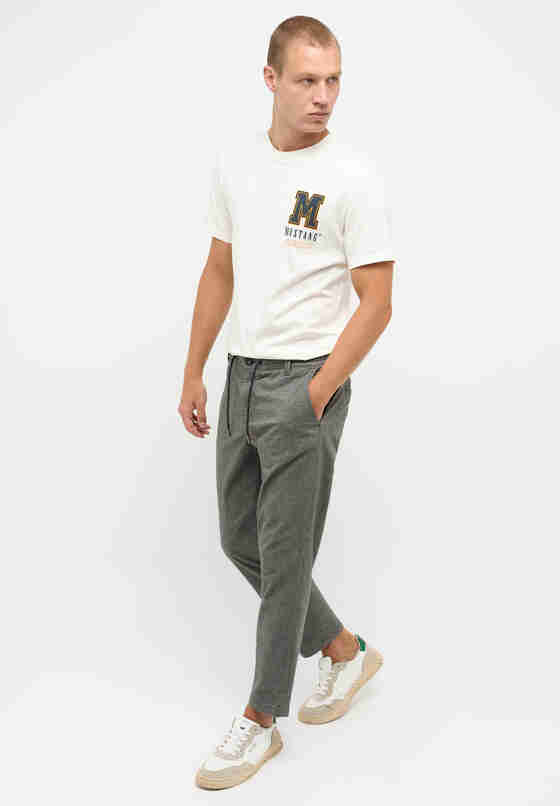 Hose Chino Jogger, Grau, model